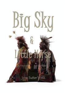 Indigenous Romance eBook Briefly Conscious Kindle-0