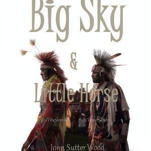 Indigenous Romance eBook Briefly Conscious Kindle-0